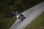 _MG_2956 _MG_2956