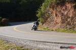 _MG_2994 _MG_2994