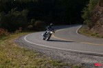 _MG_2996 _MG_2996