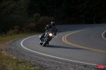_MG_3013 _MG_3013