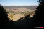 _MG_3098 _MG_3098