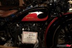_MG_2486 _MG_2486
