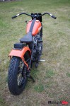 _MG_3177 _MG_3177