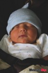 Baby Ash
