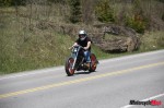 _MG_5313 _MG_5313