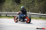 _MG_5316 _MG_5316