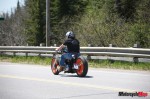 _MG_5317 _MG_5317