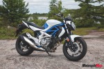 gladius profile_5562