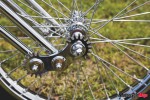 springer detail_5650