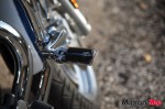 _MG_9053 _MG_9053