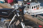 RF_detail_8344 RF_detail_8344