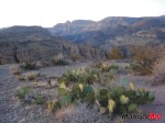 cactus-view_DSC02726
