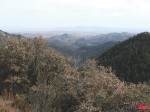 the view1665