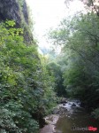 DSC02835