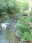 DSC02841