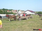 DSC02845