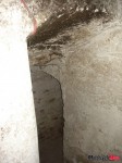 DSC02870