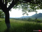 DSC02875