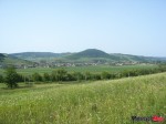 DSC02876