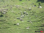 DSC02909