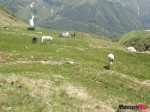 DSC02910