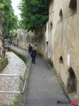 DSC02931
