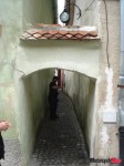 DSC02951