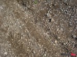 DSC02958
