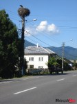 DSC02976