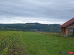 DSC03009