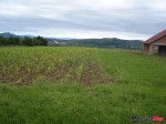 DSC03010