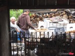 DSC03016
