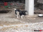 DSC03020