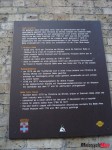 DSC03052