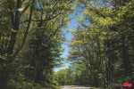 IMG_2353 IMG_2353