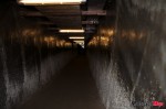 _MG_1576