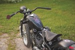 Pinstripe Handlebar_0884