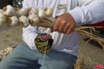 IMG_3970 IMG_3970