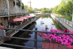 IMG_3972 IMG_3972