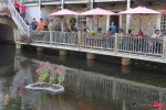 IMG_3973 IMG_3973